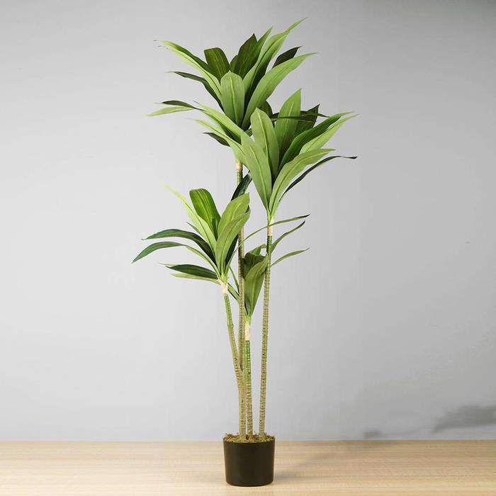Artificial Plant Dracaena Tree